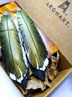 Poho Kererū